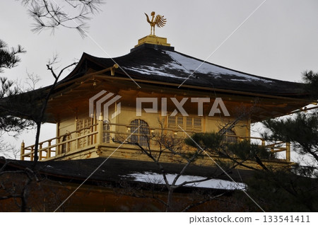 冬季的京都金閣寺 133541411