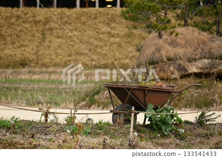 生鏽的手推車植物 133541433