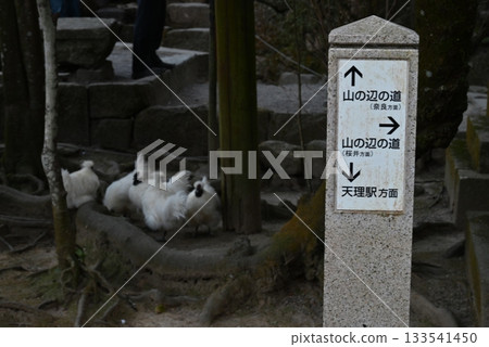 Signpost at Isonokami Shrine in Tenri City, Nara Prefecture Signpost at Isonokami Shrine in Tenri City, Nara Prefecture 133541450