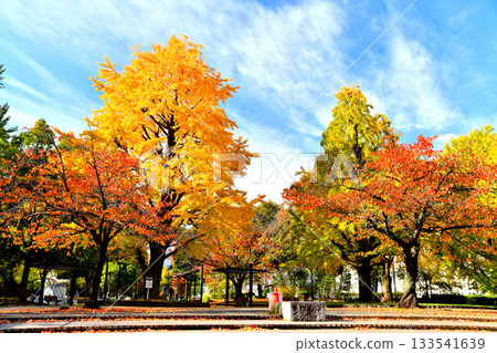 Tokyo Metropolitan Shiba Park Site No. 4 (Minato Ward, Tokyo) [November 2025] 133541639