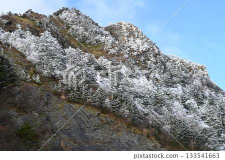 龜森霧 7(山坡)(高知縣阿川郡伊野町) 龜森霧 7(山坡)(高知縣阿川郡伊野町) 133541663