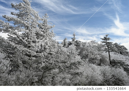 霜樹 1（高知縣阿川郡伊野町） 133541664