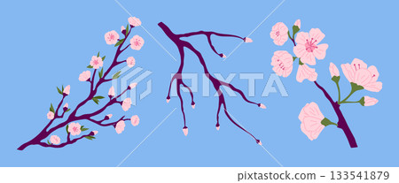 Cartoon Color Different Pink Japanese Sakura Branches Set Decoration Elements Concept Flat Design Style. Vector illustration 133541879