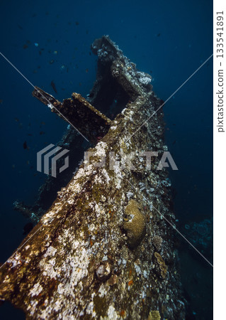 Underwater world with tropical fish, corals and wreck ship 133541891