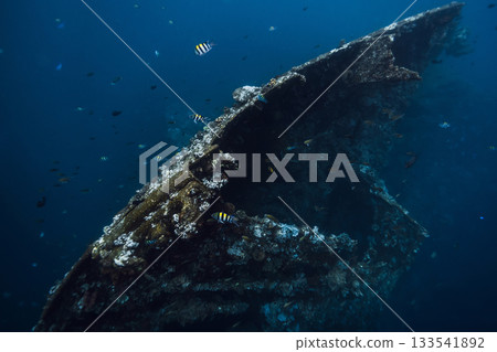 Liberty Wreck in Tulamben, Bali. Freediving on wreck ship 133541892