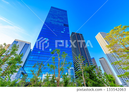 東京新宿區西新宿的城市景觀 東京新宿區西新宿的城市景觀 133542063