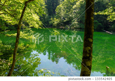 250528 Ryugakubo 250528 Ryugakubo 133542405