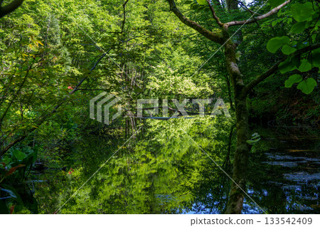 250528 Ryugakubo 133542409