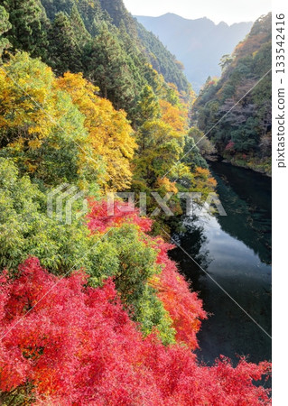 Autumn Festival Valley Autumn Festival Valley 133542416