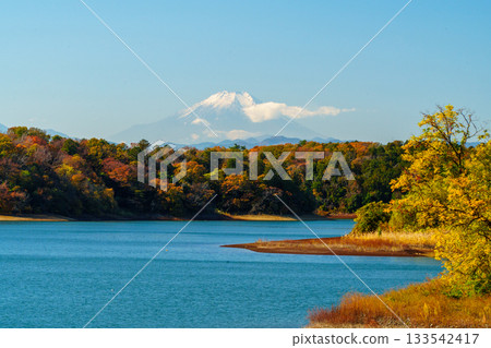 Autumn leaves at Lake Tama and Mount Fuji Autumn leaves at Lake Tama and Mount Fuji 133542417