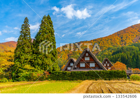 白川鄉秋季壯麗景色 133542606