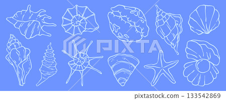Seashell collection on blue background 133542869