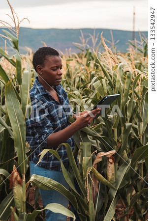 African farmer woman using digital tablet in corn field 133542947