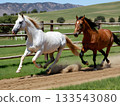 兩匹馬在牧場圍欄前飛奔。 133543080