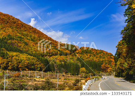 Autumn foliage scenery in the Kiba area from the northern end of Lake Kizaki Autumn foliage scenery in the Kiba area from the northern end of Lake Kizaki 133543171