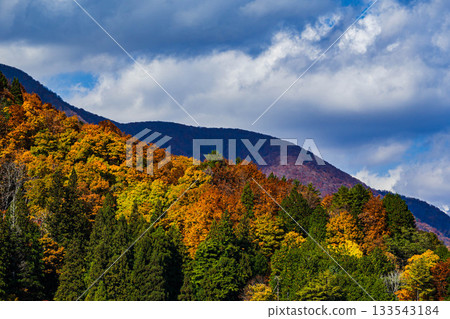 Autumn leaves on the mountain in Omachi City 133543184