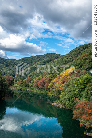 Arakawa River in Nagatoro Town, with the mountains beginning to turn red and the emerald green water 133543270