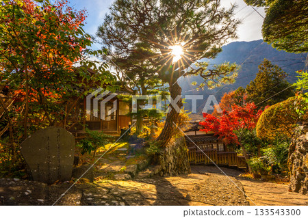 山梨縣早川町赤澤宿的紅葉 山梨縣早川町赤澤宿的紅葉 133543300
