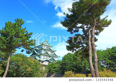 愛知縣名古屋市名古屋城景觀 133543348