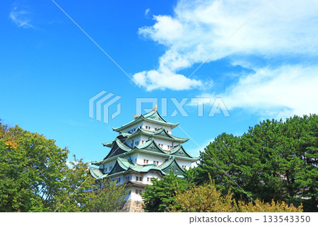 View of Nagoya Castle, Nagoya City, Aichi Prefecture 133543350