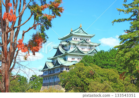 愛知縣名古屋市名古屋城景觀 133543351