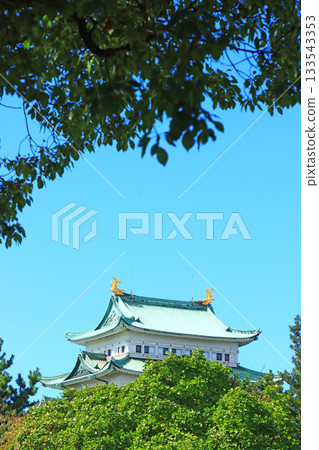 View of Nagoya Castle, Nagoya City, Aichi Prefecture 133543353