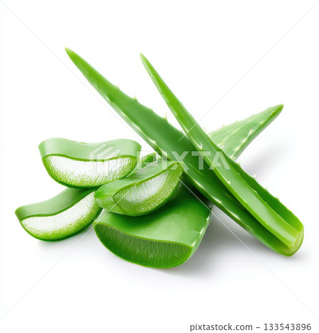 Aloe vera is essential plant known for its natural healing properties and is often used in aromatherapy. Its oil is popular for skincare and wellness Aloe vera is essential plant known for its natural healing properties and is often used in aromatherapy. Its oil is popular for skincare and wellness 133543896