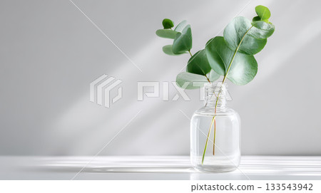 Clear glass bottle holds fresh eucalyptus leaves, showcasing beauty of nature. This essential oil is perfect for natural aromatherapy, bringing tranquility and freshness to any space 133543942