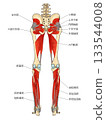 下肢後側肌肉（深層） 133544008