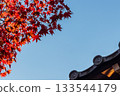 日本京都的秋楓樹與傍晚的藍天 133544179