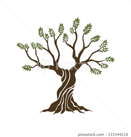 Olive trees with branches and leaves for design of packaging, label, logotype or banner. Natural organic stylized olive icon, premium quality sign. Vector illustration Olive trees with branches and leaves for design of packaging, label, logotype or banner. Natural organic stylized olive icon, premium quality sign. Vector illustration 133544218