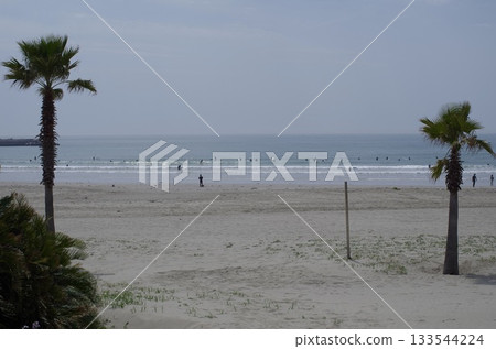 海 海 133544224