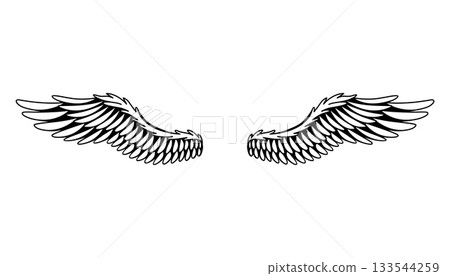 Wings sketch. Stylized birds wings. Hand drawn contoured stiker wing in open position. Vector design elements in coloring style 133544259