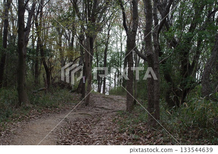 攀登濡草山 攀登濡草山 133544639