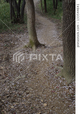 攀登濡草山 133544641