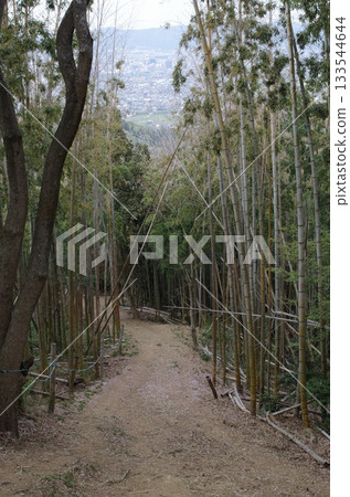 攀登濡草山 133544644