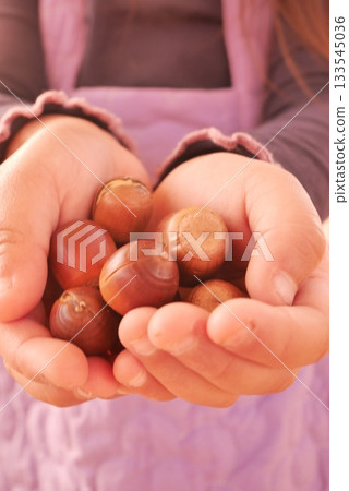 孩子的手拿著栗子 133545036