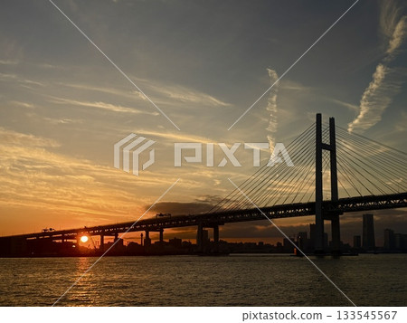 Yokohama Twilight Zone, Yokohama Bay Bridge, and evening cruises Yokohama Twilight Zone, Yokohama Bay Bridge, and evening cruises 133545567