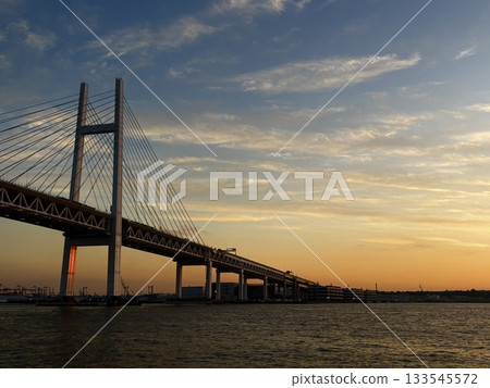 Yokohama Twilight Zone, Yokohama Bay Bridge, and evening cruises 133545572