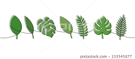 Continuous line art of monstera and palm leaves. Minimalist botanical drawing with color for modern design 133545877