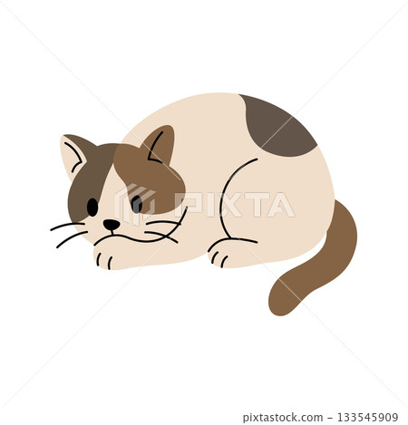 Cute cartoon cat lying down. Flat vector kitten illustration for children projects, pet themes and creative animal artworks Cute cartoon cat lying down. Flat vector kitten illustration for children projects, pet themes and creative animal artworks 133545909