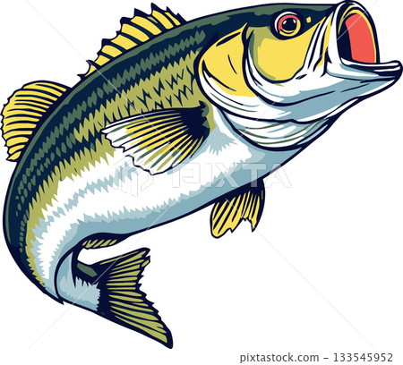 Largemouth bass jumping and opening mouth while fishing 133545952