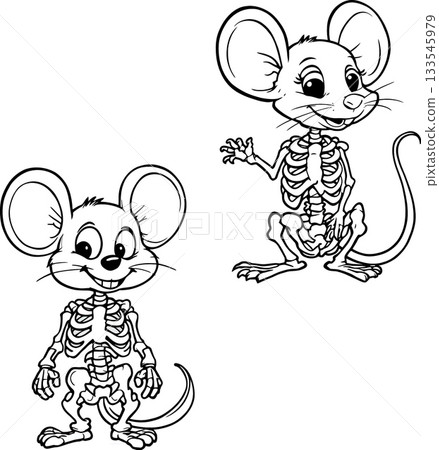 Cartoon mouse skeleton showing its rib cage and bones Cartoon mouse skeleton showing its rib cage and bones 133545979