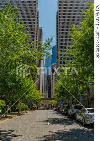 美國舊金山市中心 133546176