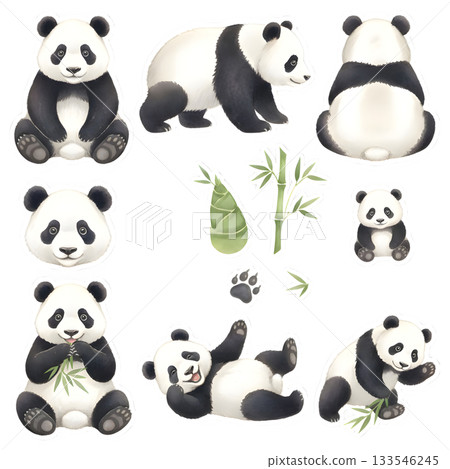 Set of panda characters. Watercolor illustration design. 133546245