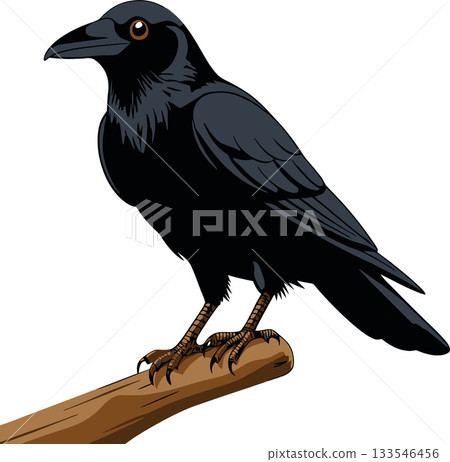 Black crow perched on branch, raven observing surroundings Black crow perched on branch, raven observing surroundings 133546456