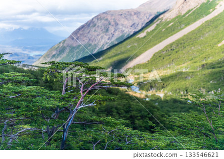 Hiking the W-Trek in Torres Del Paine 133546621