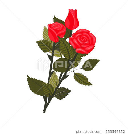 A bouquet of bright red roses. 133546852