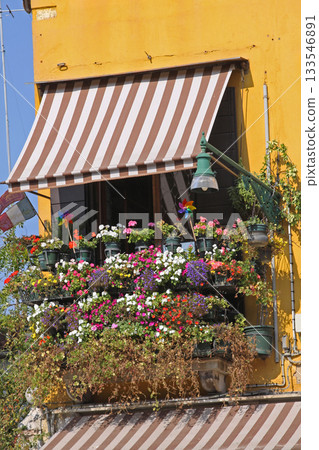 Floral Balcony Venice Floral Balcony Venice 133546891
