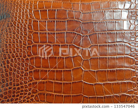 Brown Crocodile Leather 133547046